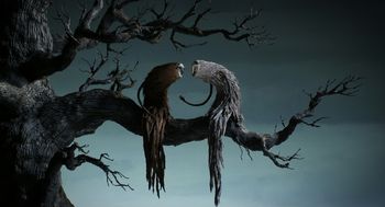 Copyright: © Anne Breymann