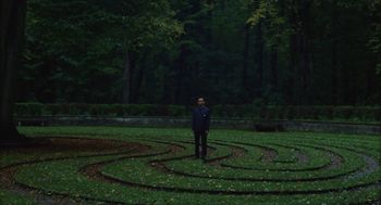 Copyright: © Viv Li